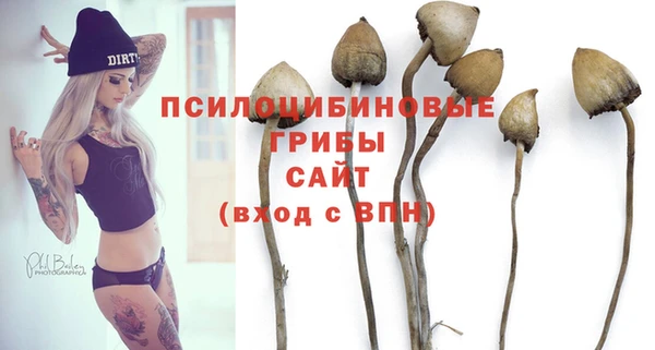 мет Аркадак