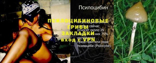 мет Аркадак