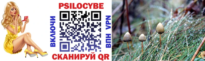 Галлюциногенные грибы Psilocybe  где можно купить   Пошехонье 